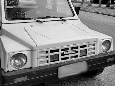 Os primeiros modelos produzidos foram veículos elétricos infantis e utilitários para uso interno em fábricas. Mas logo veio o primeiro sucesso comercial: o Xavante, lançado ainda em 1970, um veículo off-road e fibra de vidro com chassi próprio, voltado para o lazer e o trabalho rural. Sua robustez e simplicidade conquistaram um público fiel