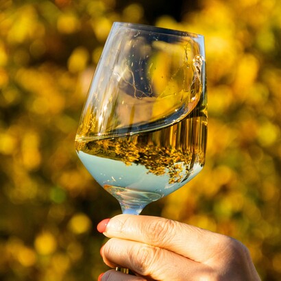 Riconosciuto a livello internazionale, il Verdicchio DOP è oggi un ambasciatore dell’enologia italiana di qualità