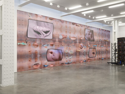 Tishan Hsu, Emergence, exhibition view. Courtesy of Lisson Gallery