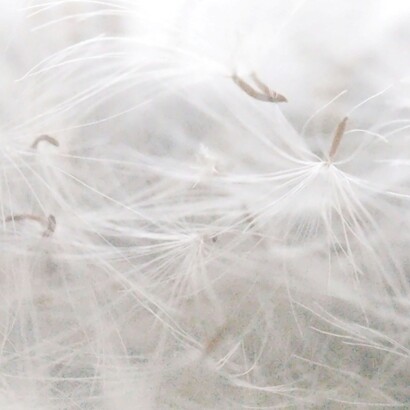 La sua opera resta una testimonianza rara: un dialogo continuo tra luce, destino e memoria