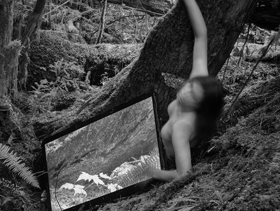 Camille Trautman, Boren Banner series. Courtesy of Frye Art Museum