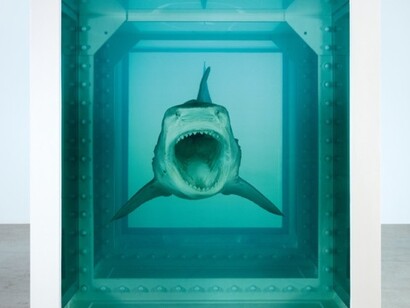Damien Hirst, "L'impossibilità fisica della morte nella mente di qualcuno che vive", 1991, opera nella collezione privata di Steve Cohen