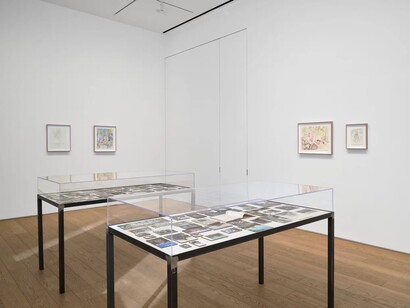 Qiu Xiaofei, The theater of Wither and Thrive, exhibition view. Courtesy of Hauser & Wirth Gallery