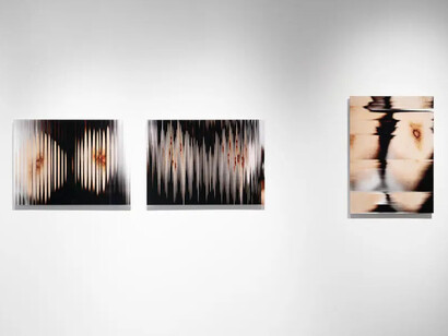 Maria Kapajeva, By losing them, I become a whole, exhibition view. Courtesy of Kogo Gallery