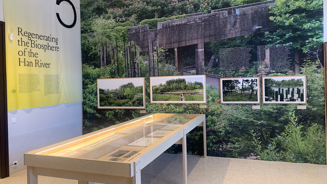 Biennale Architettura Venezia 2025, vista della mostra. Foto di Claudia Zanfi