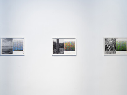 Stijn Cole, El tiempo suspendido, exhibition view. Courtesy of Galería Hilario Galguera