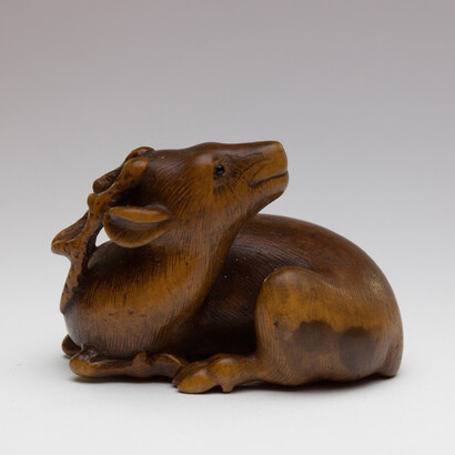 Giuseppe Piva, Cervo