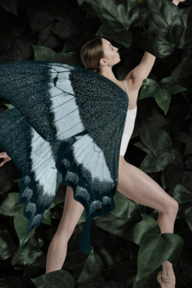 The image of a woman transforming into a butterfly evokes themes of self-compassion, inner transformation, and the courage to let go