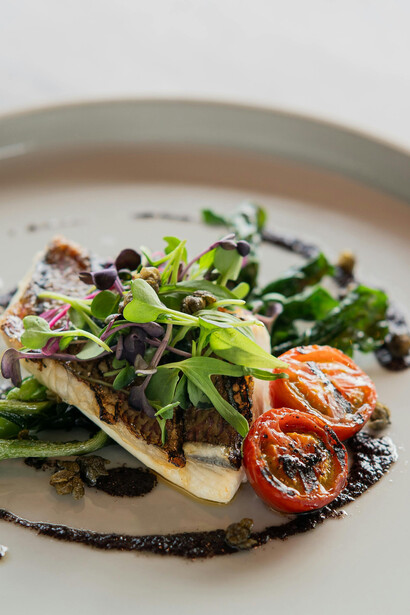Elegant plated gourmet dish featuring fish and vegetables, inspired by the Paleo diet — Tokyo, Japan