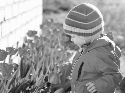 A young boy takes in the sweet scent of tulips while playing in the garden on a lovely spring day