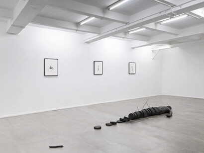 Fabien Mérelle, Arbre sentinelle, exhibition view. Courtesy of Keteleer Gallery