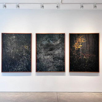 Edo Costantini, Solsticio de invierno: semillas de la nada, vista de exhibición. Cortesía de Praxis