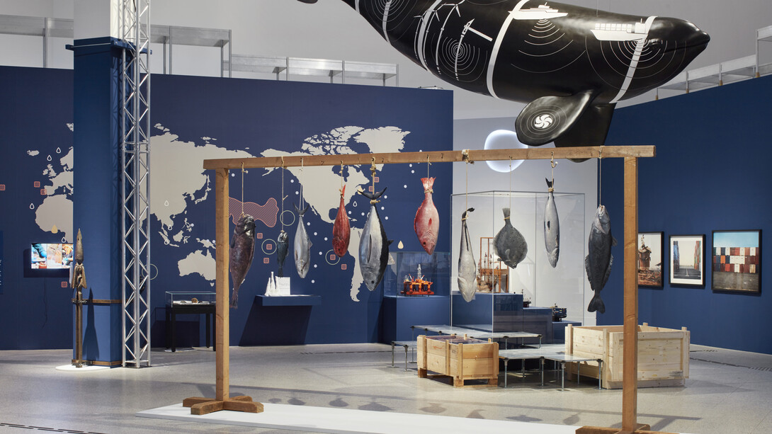 Expedition to the world's oceans, exhibition view. Courtesy of Bundeskunsthalle