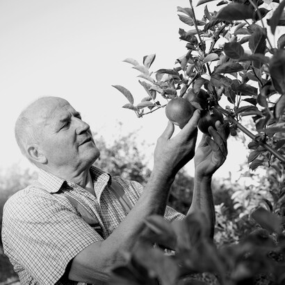 Sapori, odori e colori stimolano i sensi e modulano il nostro umore quotidiano