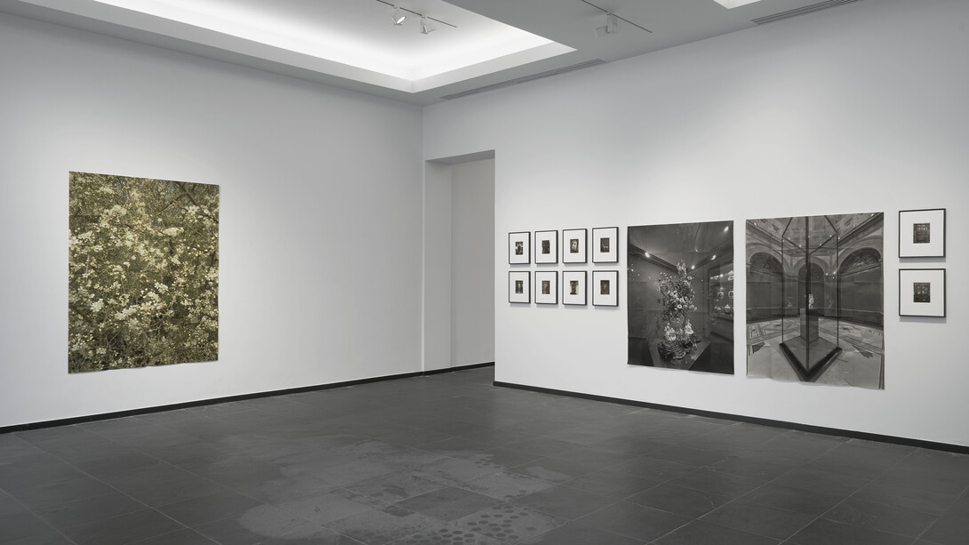 Marc De Blieck, Point de voir, vue d'exposition. Avec l'aimable autorisation du S.M.A.K.