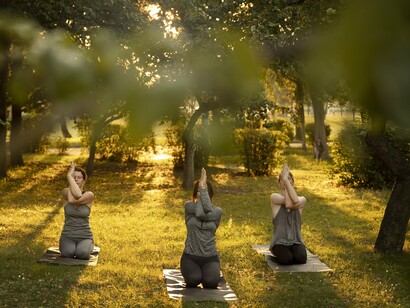 Stillness as balance in an always-on world