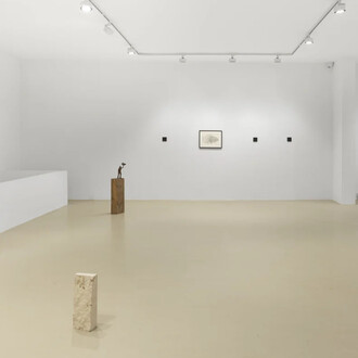 Fabien Mérelle, Arbre sentinelle, exhibition view. Courtesy of Keteleer Gallery