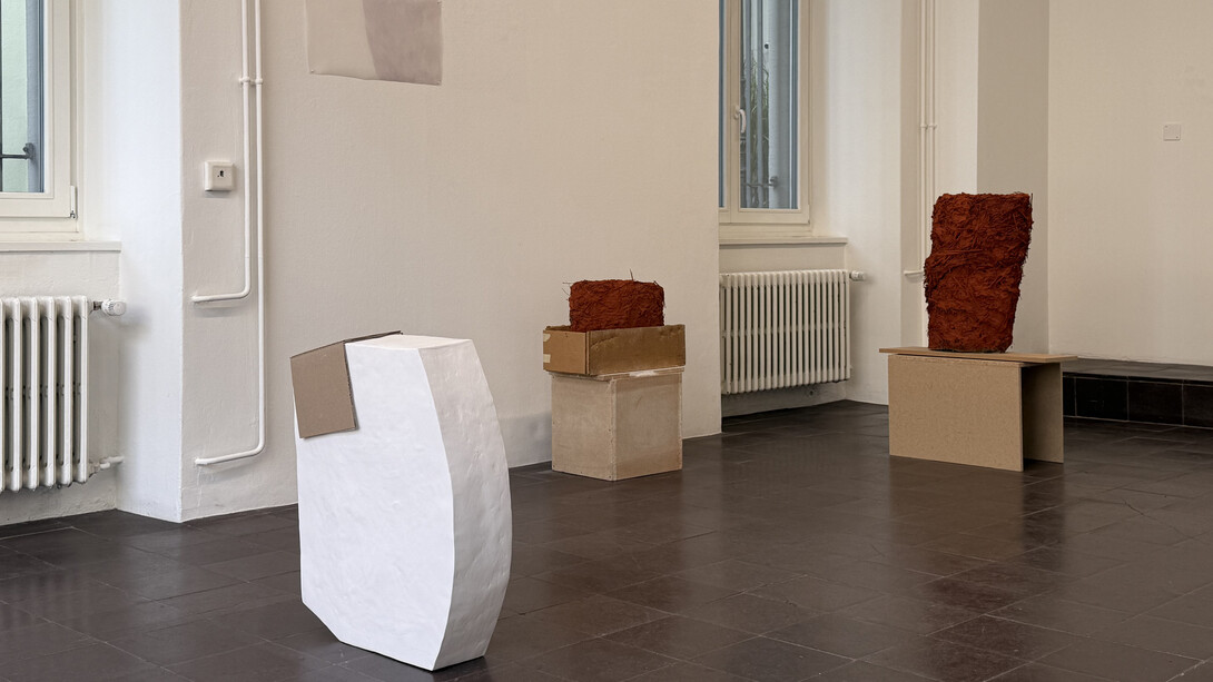 Irene Schubiger, some of us, exhibition view. Courtesy of Annex14