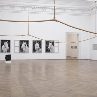 Various artists, After the afternoon. Regionale 26, exhibition view. Courtesy of Kunsthalle Basel