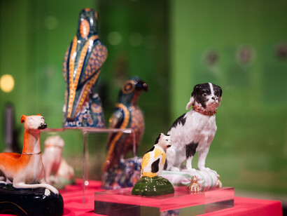 Pippa Hale, Pet project, exhibition view. Courtesy of the Bowes Museum ©The Bowes Museum, County Durham. Photography by Claire Collinson