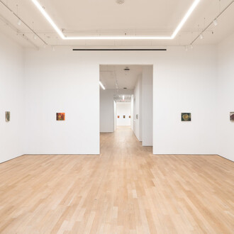 Phoebe Helander, Paintings from the orange room, exhibition view. Courtesy of P·P·O·W