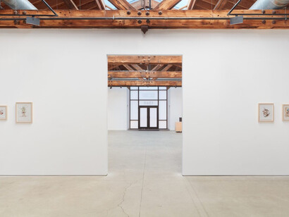 Debra Cartwright, Wandering womb: From myth to market, exhibition view. Courtesy of Anthony Gallery