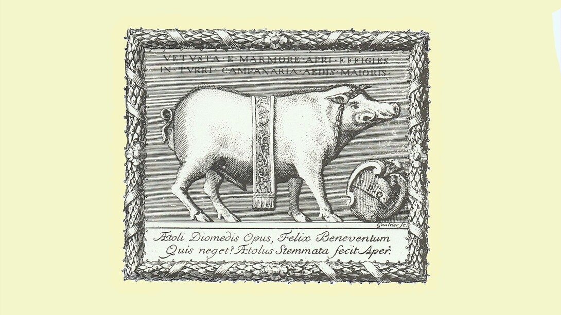 "Thesaurus Antiquitatum Beneventanarum" di G. De Vita, Roma, Pagliarini, 1754, I, frontespizio, incisione di P.J. Gaultier su disegno di G.B. Natali raffigurante il cinghiale stolato, simbolo della città di Benevento.