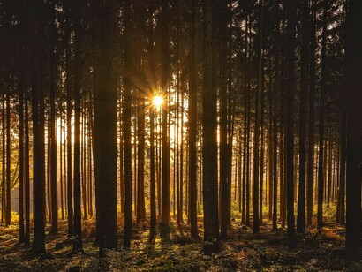 Se for verdadeiro, trata-se de um dos maiores tesouros não descobertos da história moderna. Se for falso, é um dos exemplos mais duradouros de lenda criptográfica. Em ambos os casos, o legado permanece