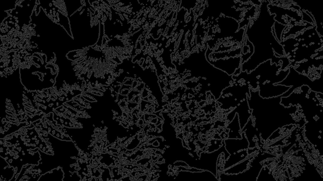 Patryk Kulig, Cryptoflora (detail) Buch, 2022. Mit freundlicher genehmigung von Kulturforum