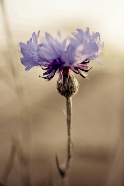 El autoconocimiento es un proceso continuo que revela luces, sombras y aprendizajes internos