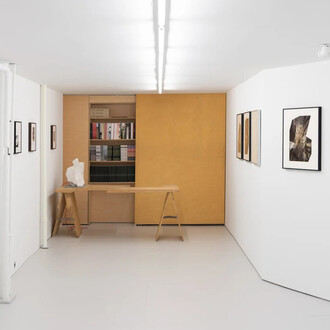 Assaf Evron, If a butterfly ever saw an owl, exhibition view. Courtesy of Osmos Gallery