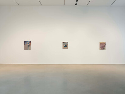 Rezi van Lankveld, Premonitions, exhibition view. Courtesy of Petzel