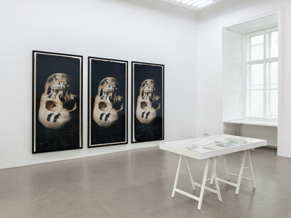 Ulay, exhibition view. Courtesy of Charim Galerie