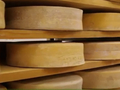 Forme di bitto, formaggio grasso a pasta cotta e semidura, tipico della Valtellina