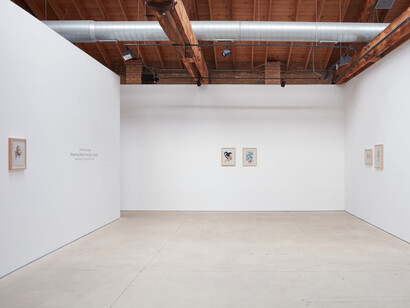 Debra Cartwright, Wandering womb: From myth to market, exhibition view. Courtesy of Anthony Gallery