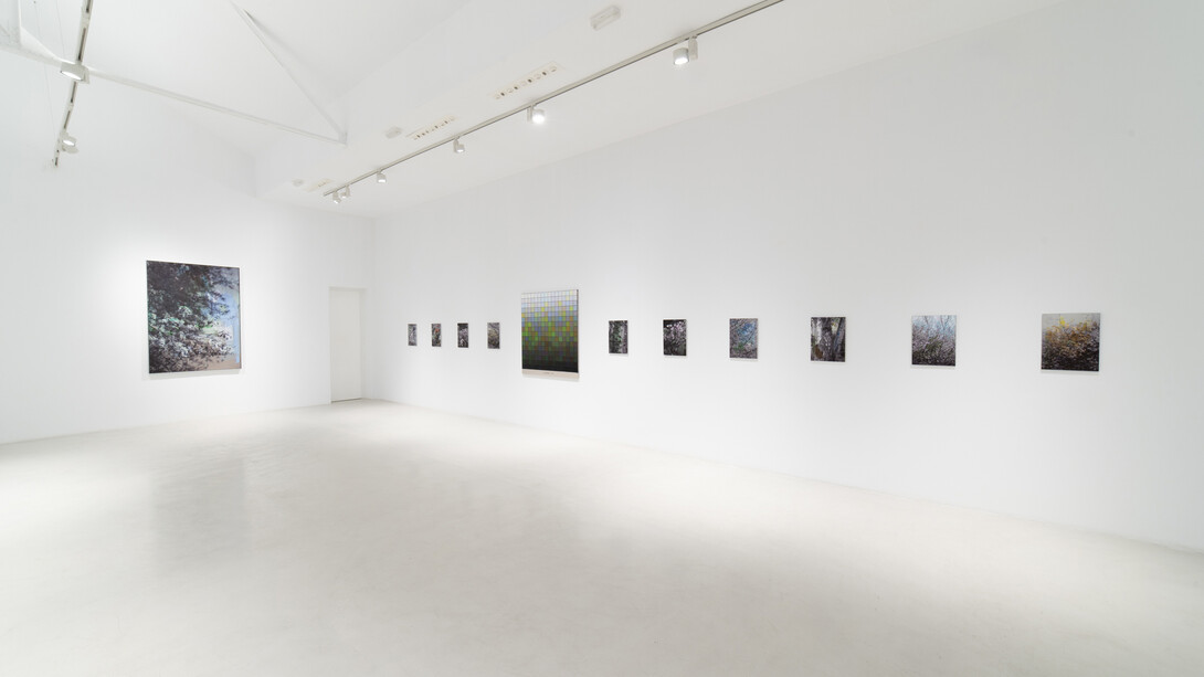 Stijn Cole, El tiempo suspendido, exhibition view. Courtesy of Galería Hilario Galguera