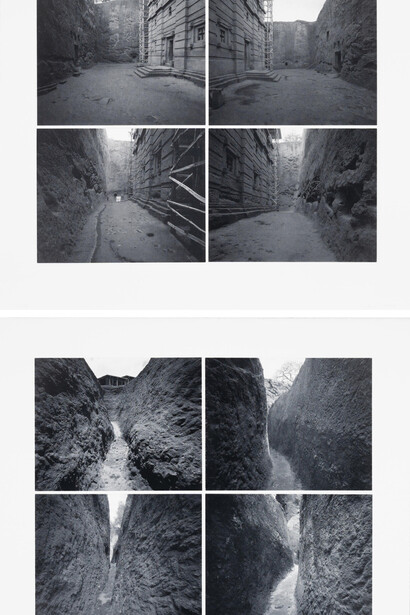 V. Sanjay Kumar, Garden of weeds. Courtesy of Sakshi Gallery