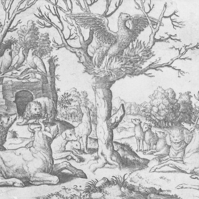 Fenice che brucia su un albero, incisione, circa 1530-1560