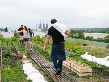 A small group tending to their plots in an urban garden at Berlin's allotment gardens, Germany