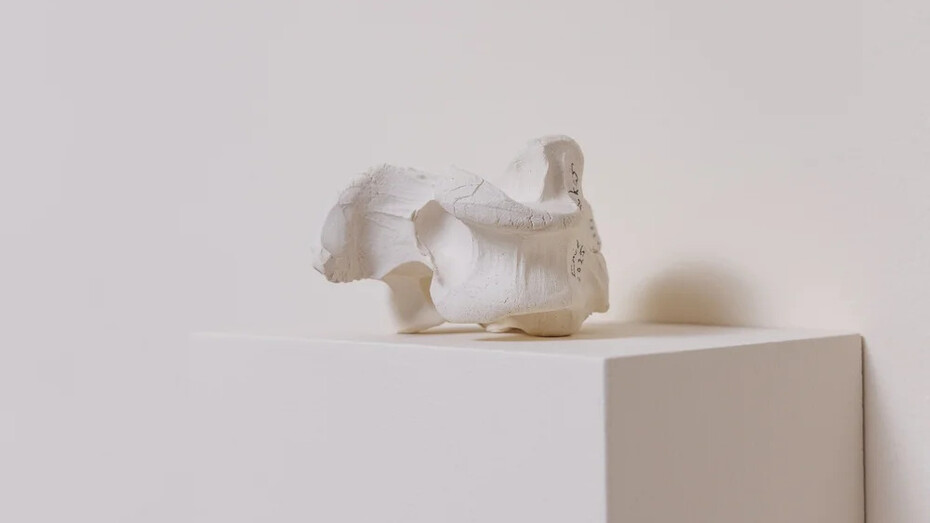 Emil Lukas, In orbit with untraceable balance. Courtesy of Piero Atchugarry Gallery