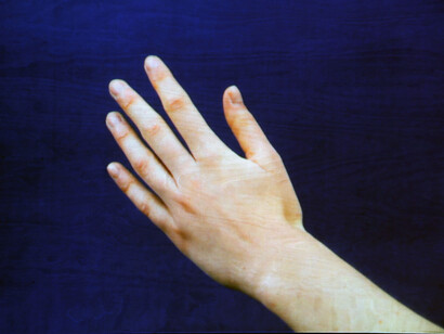 Emily Hawes, Muscle Memory, HDV projection on Ply, 2014