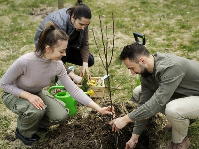 Hands in the earth, communities work side by side to rebuild natural ecosystems