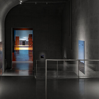 Yang Bodu, Black eagle, white eagle, exhibition view. Courtesy of Long Museum