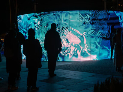 A group of people standing in front of a blue wall during a digital light art event at night in Oslo, Norway