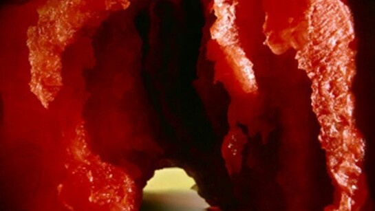 Nadege Meriau, Grotto, C-type Print, 102 x 127cm, 2011