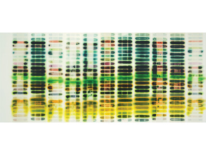 Jaq Chartier, 11 Whites (Greens), 2014, acrylic, stains & spray paint on wood panel,50.8 x 116.8 cm,