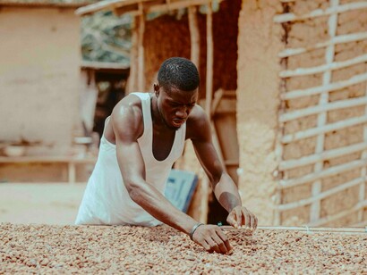 A farmer spreads cocoa beans, presenting a system built for export rather than local food security