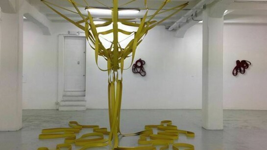 Michelangelo Penso, Microbioma, 2014, materiale gomma antiolio e acciaio