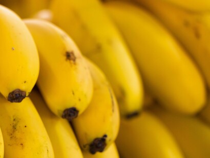 Hoje a Índia lidera a produção mundial e ajuda a colocar em nossa mesa tipos como a banana-nanica, a prata, a maçã, entre tantos outros. Um produto tão rico em todos os sentidos, não é surpresa alguma que esteja presente na maioria dos lares mundo afora, e que pode ser consumido de tudo quanto é jeito: in natura, cozida, frita