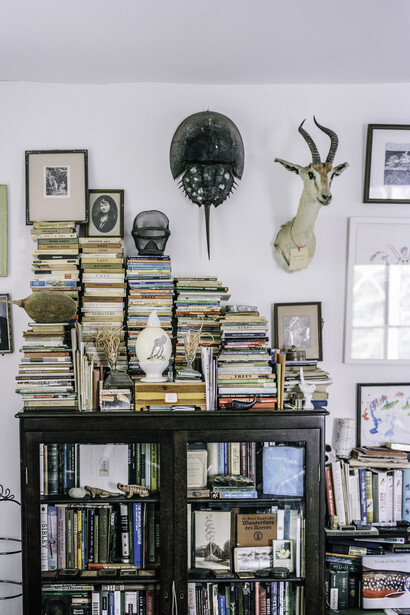 Jared Thorne, Case study 1 (detail), 2025. Courtesy of Contemporary Art Matters